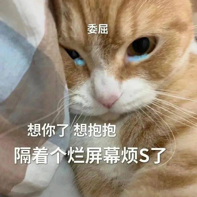 秘密交易丨第927期喵表情包_侵权_网络_图片