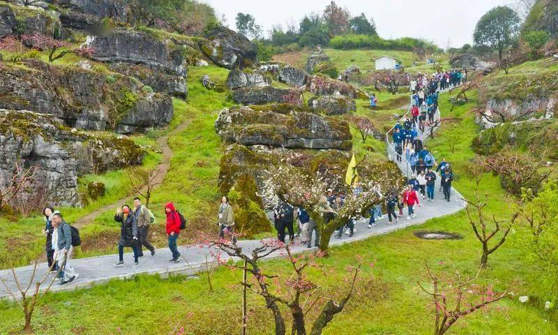 "美丽经济"借"花"绽放_连平_发展_旅游