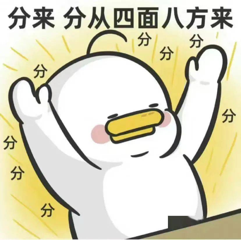 今起,开始查分!