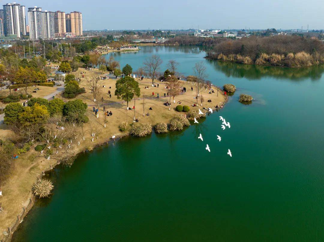 春在彭州,第一抹春色上线_公园_spring_hello