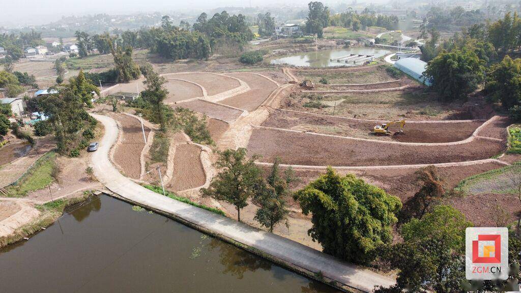 富顺县长滩镇:不负春光 百余台挖掘机闹春耕_建设_农业_农田