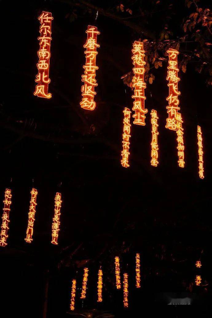 流光溢彩,眼花缭乱!他们镜头下的元宵灯会,每一张都超美!