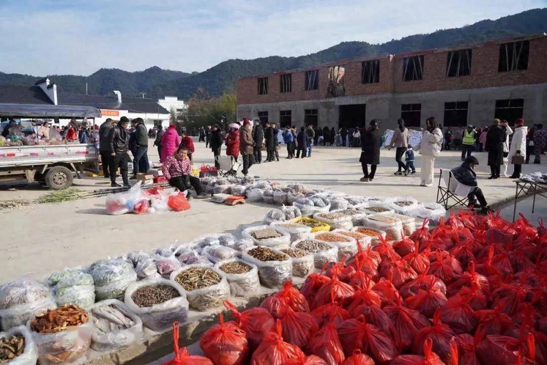 黄坛乡:用"乡"字绘就乡村振兴最大"同心圆"_文化_新乡_农村