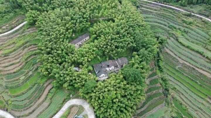 潮声丨在山区乡村打造千百种"向往的生活",遂昌绘出