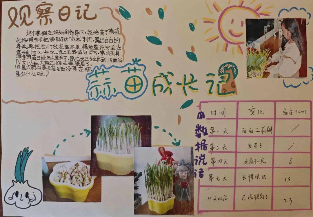 【寒假特色作业】快乐种植之蒜苗成长记——实验小学