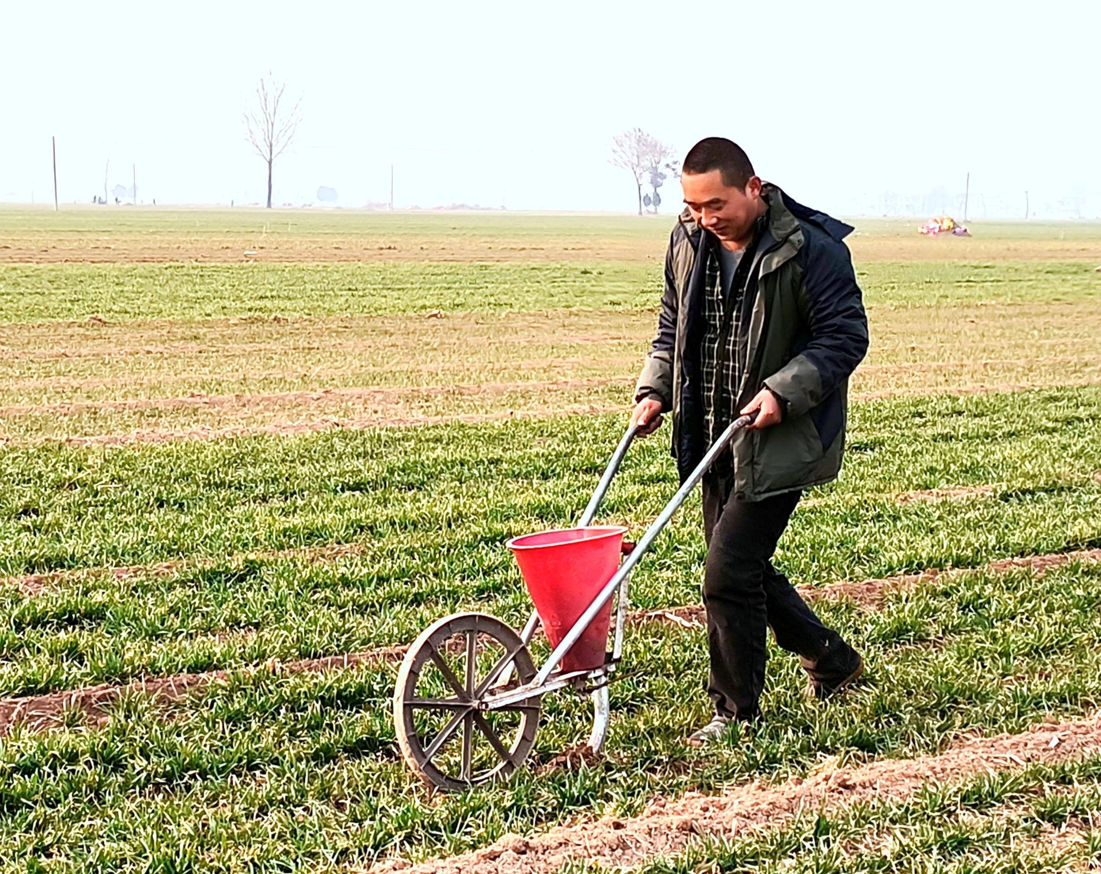 民权县:不负好春光 春耕农事忙_农机_小麦_农技