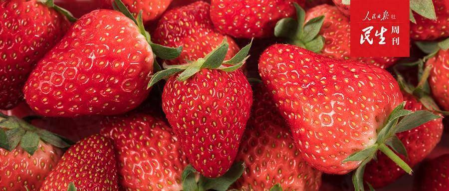 "水果自由"要回来了吗?_车厘子_生产_品种