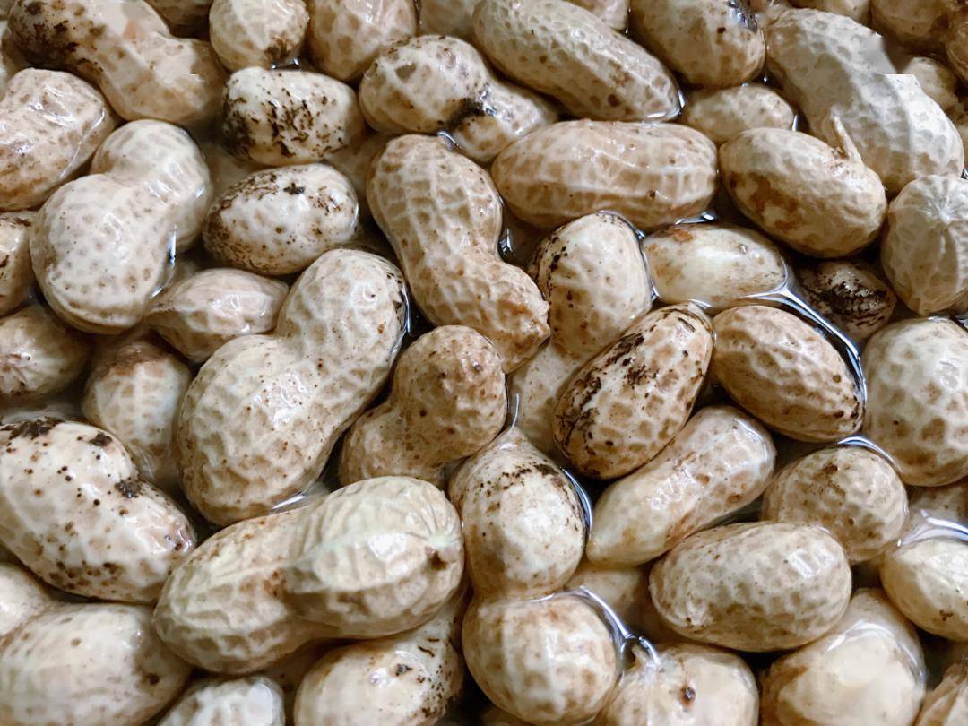 因此,开心果,腰果,榛子分别是调节血脂最佳的三种坚果.