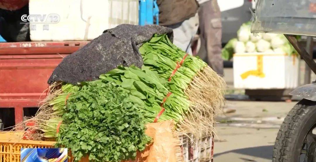 转卖芹菜赚14元被罚10万,合理吗?