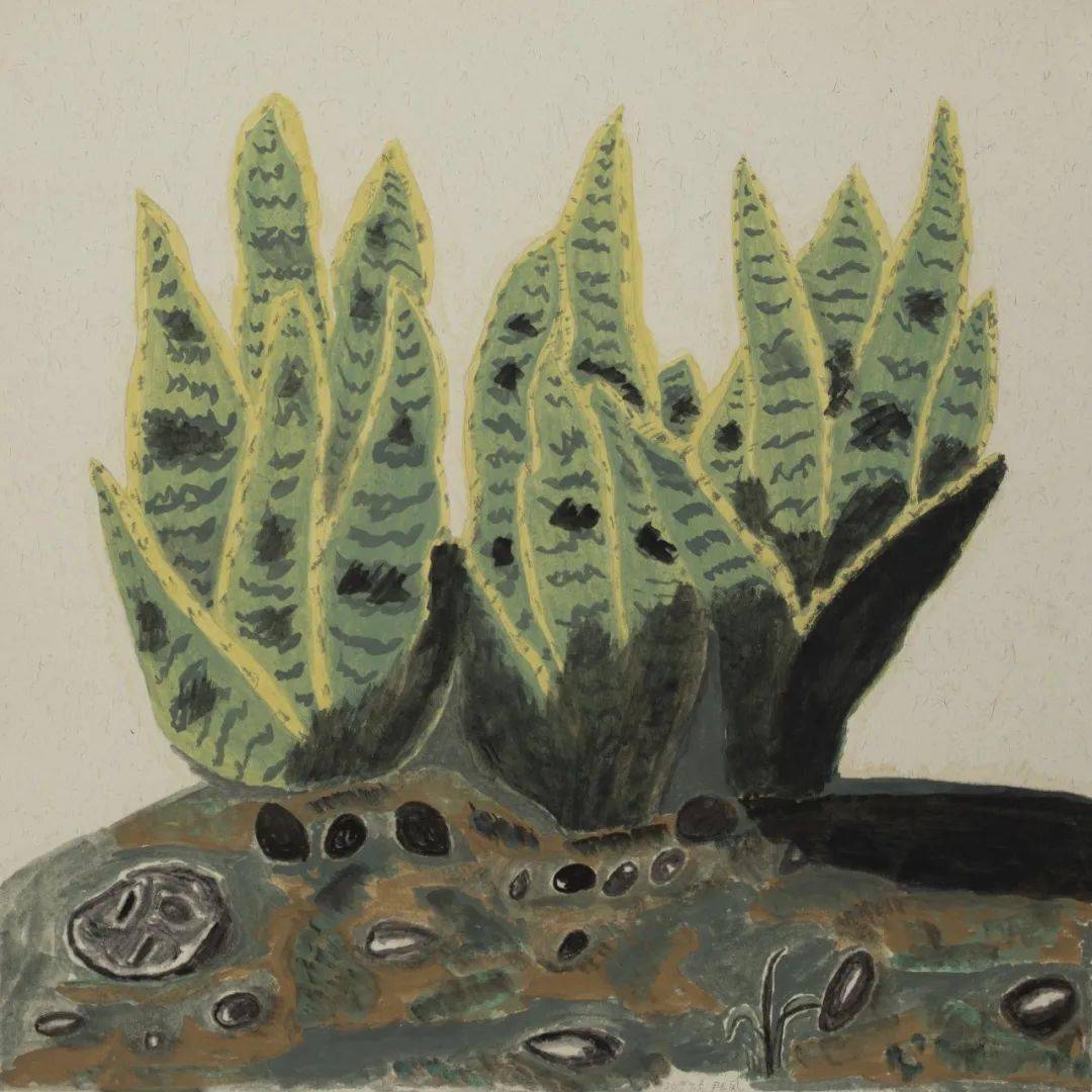 院中的虎皮兰 68x68cm 纸本设色 2019我是个挺随意的人,作息时间都不