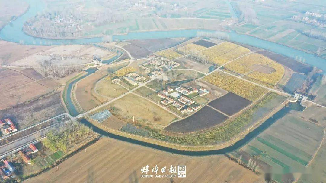 入选!_遗址_大汶口文化_考古