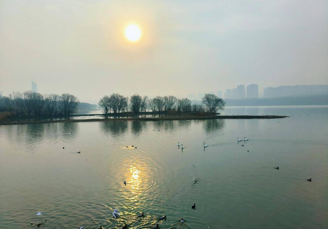 镜头下的年味,团圆中的浓情~_公司_东风_吉亚