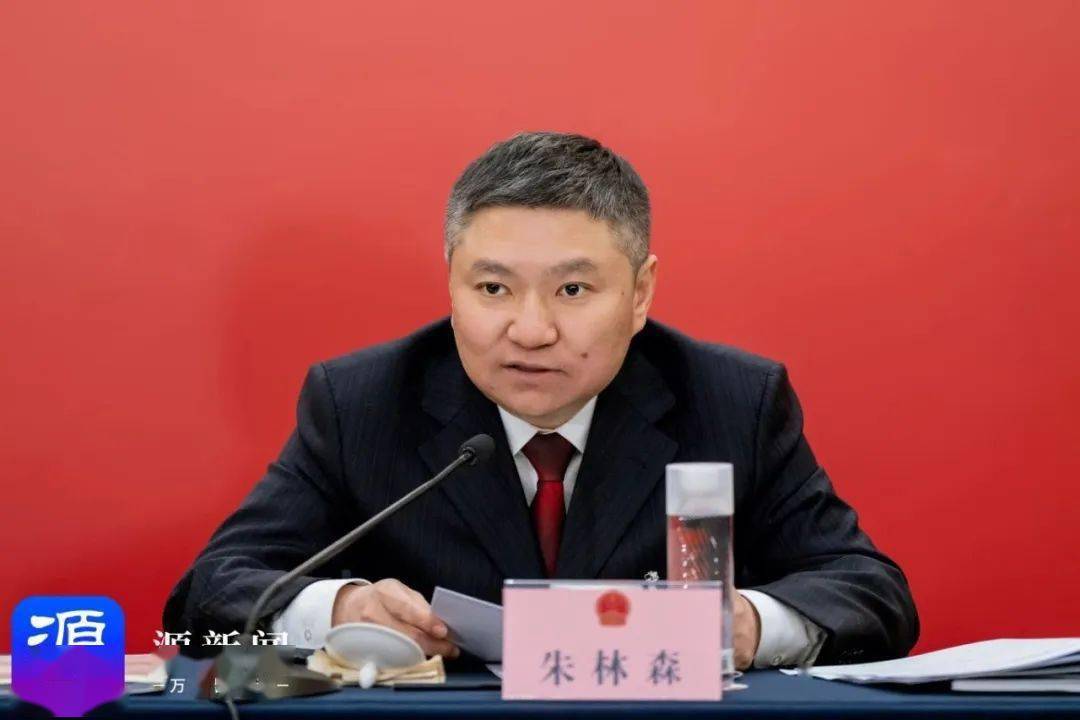 朱林森在参加莲都代表团审议时强调 扛起首位担当 展现首位作为 为