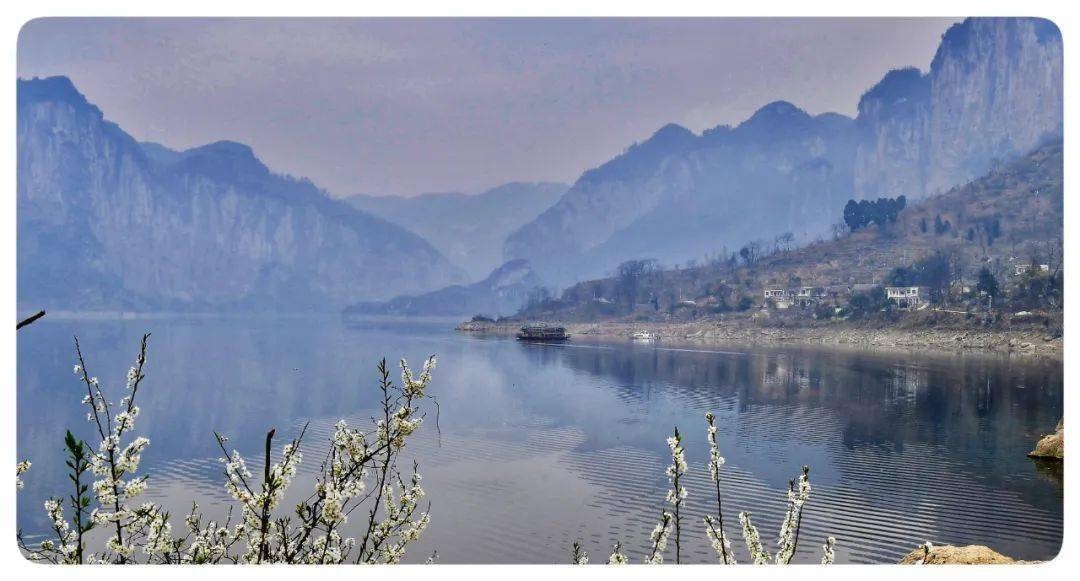 毕节_杜鹃_威宁