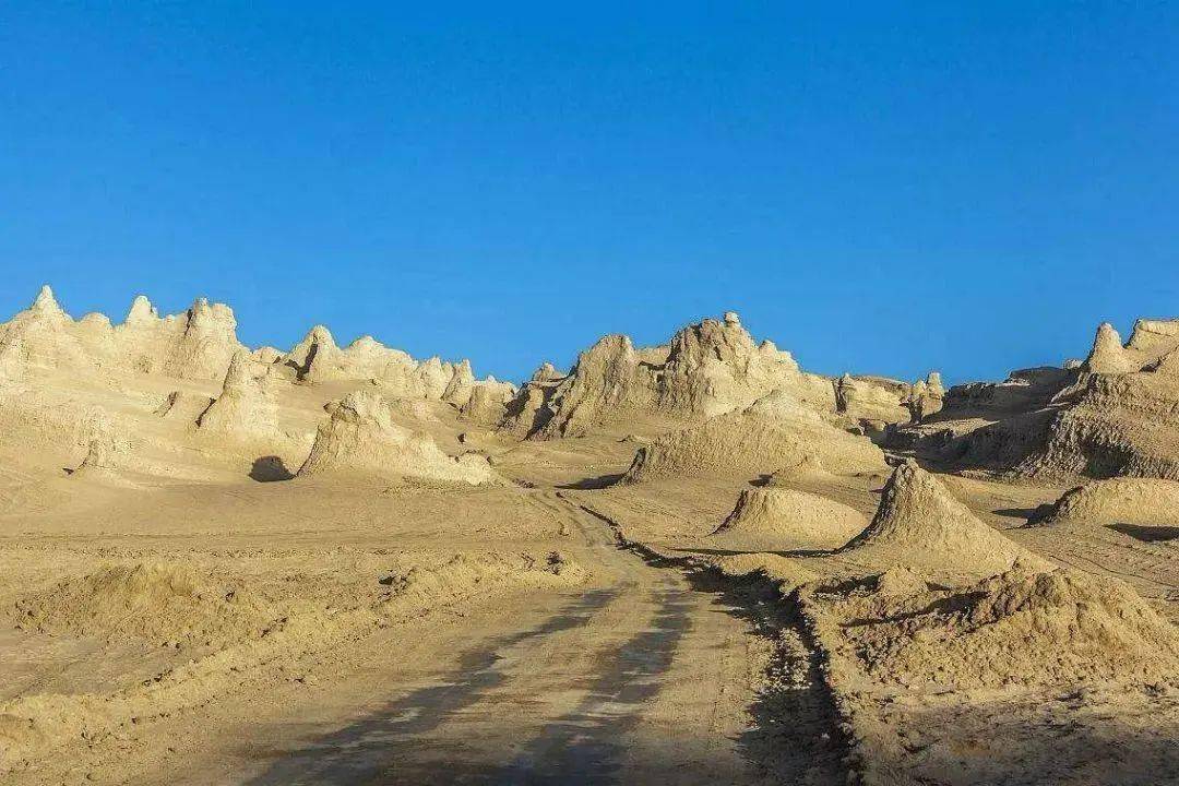 俄博梁的雅丹不仅面积大,而且单体的个头也很大,以高度二三十米的雅丹