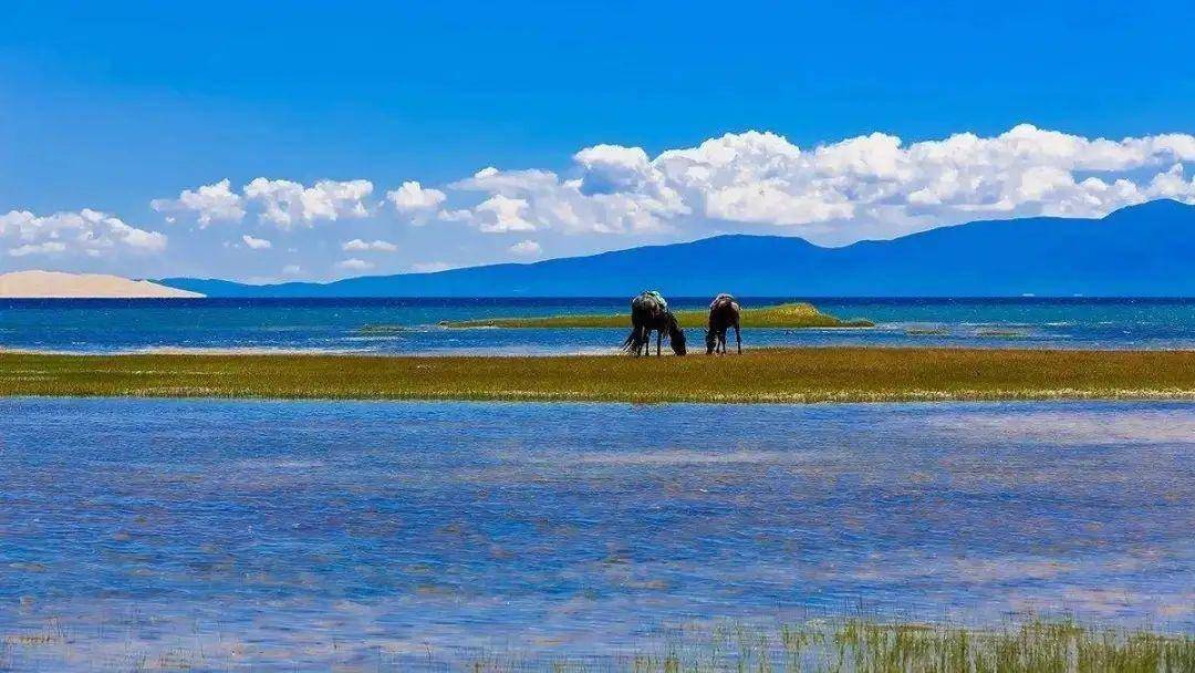 等一个人,陪我去西北流浪_西安—兰州_门源_风景