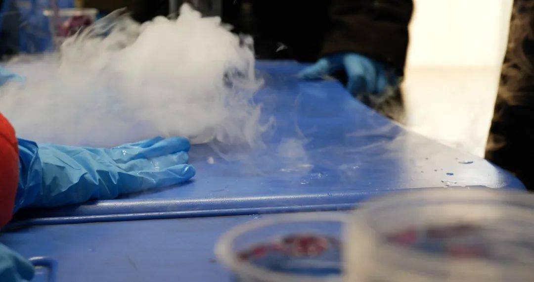 寒假实践丨教化清风:和孩子们的故事(下)_活动_实验_小朋友们