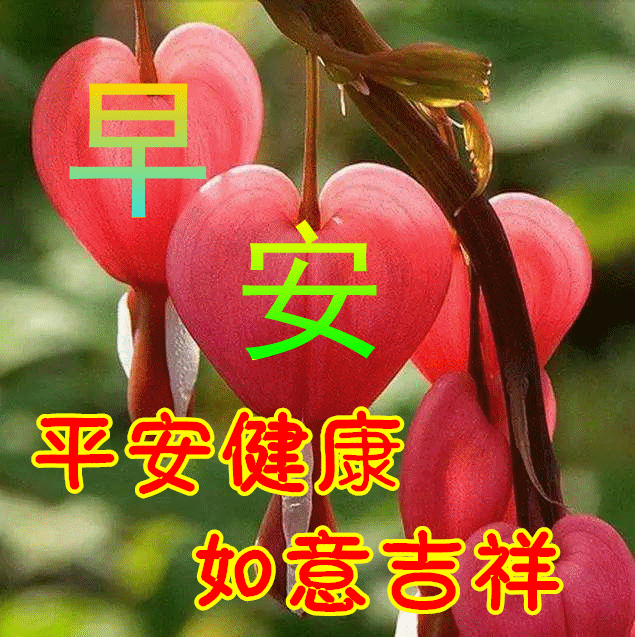 2月27日早上好祝福语图片及问候动态表情图片大全!_杜甫_生活_情绪