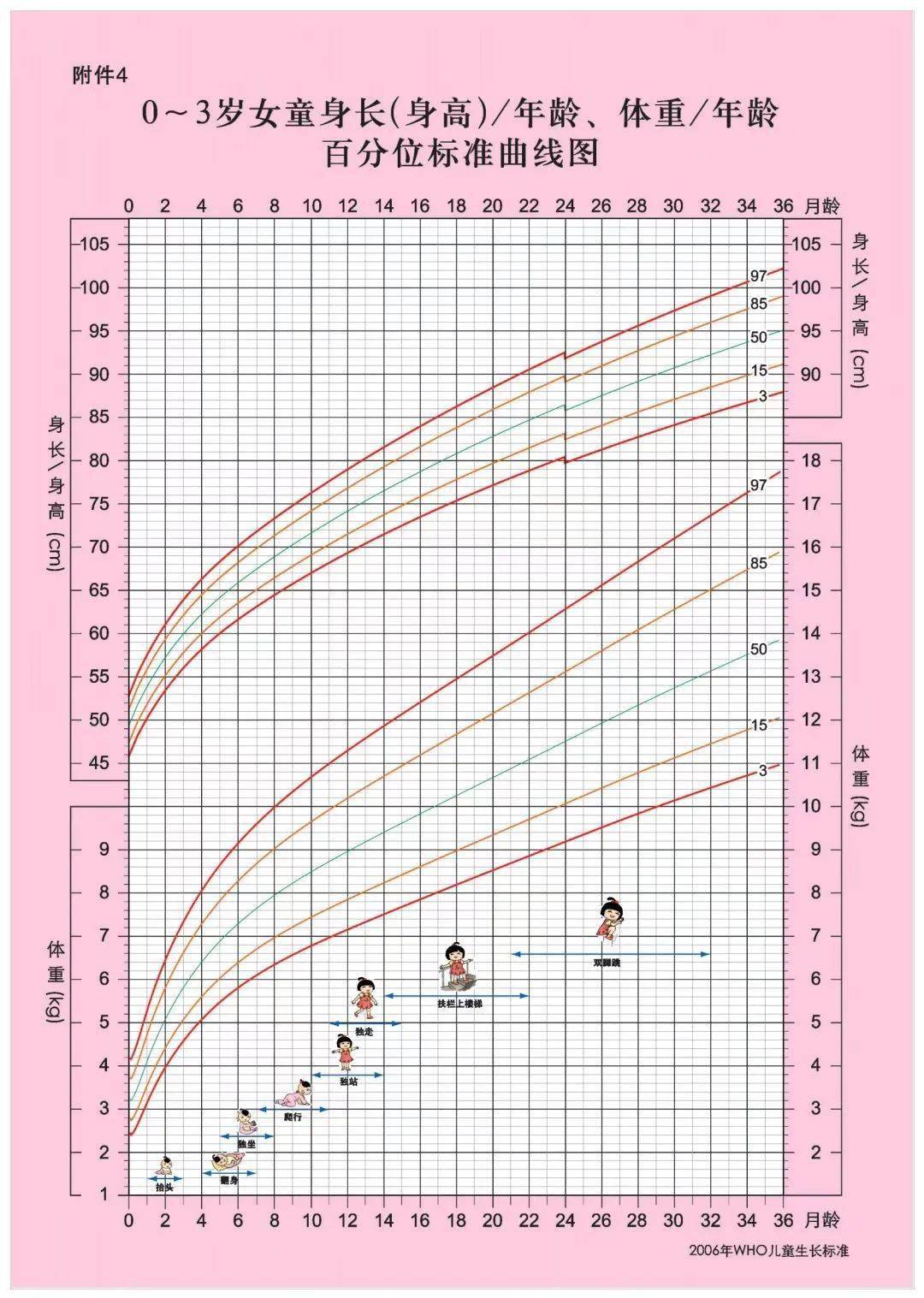 新生儿身材比例图图片