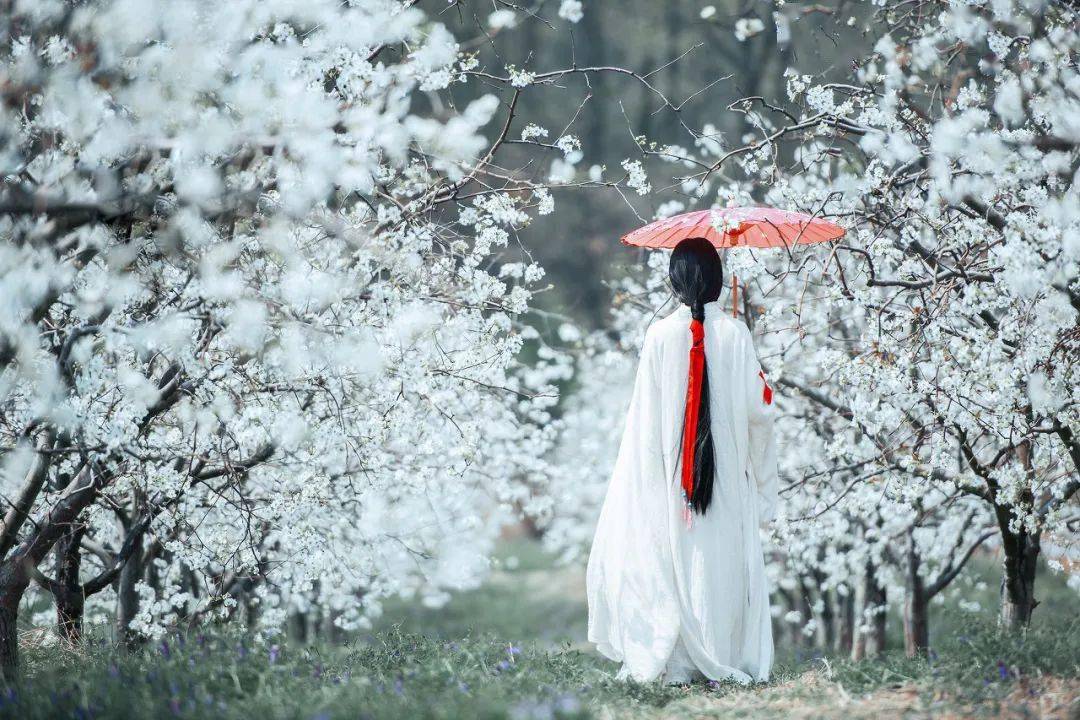 适合春天发朋友圈的诗句,浪漫又唯美_人间_诗词_季节