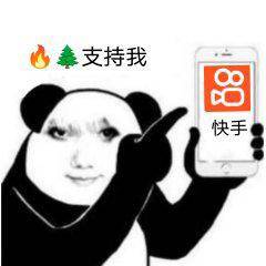 龙图表情包(99张)_公众_il_熊猫头