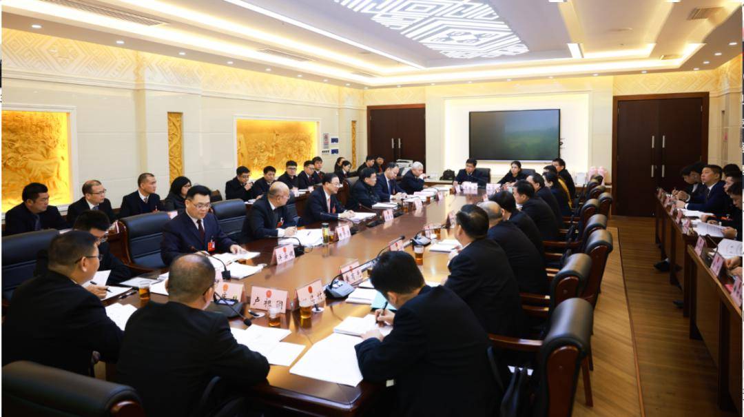 冯学军参加马山县代表团审议_发展_市人大常委会_工作