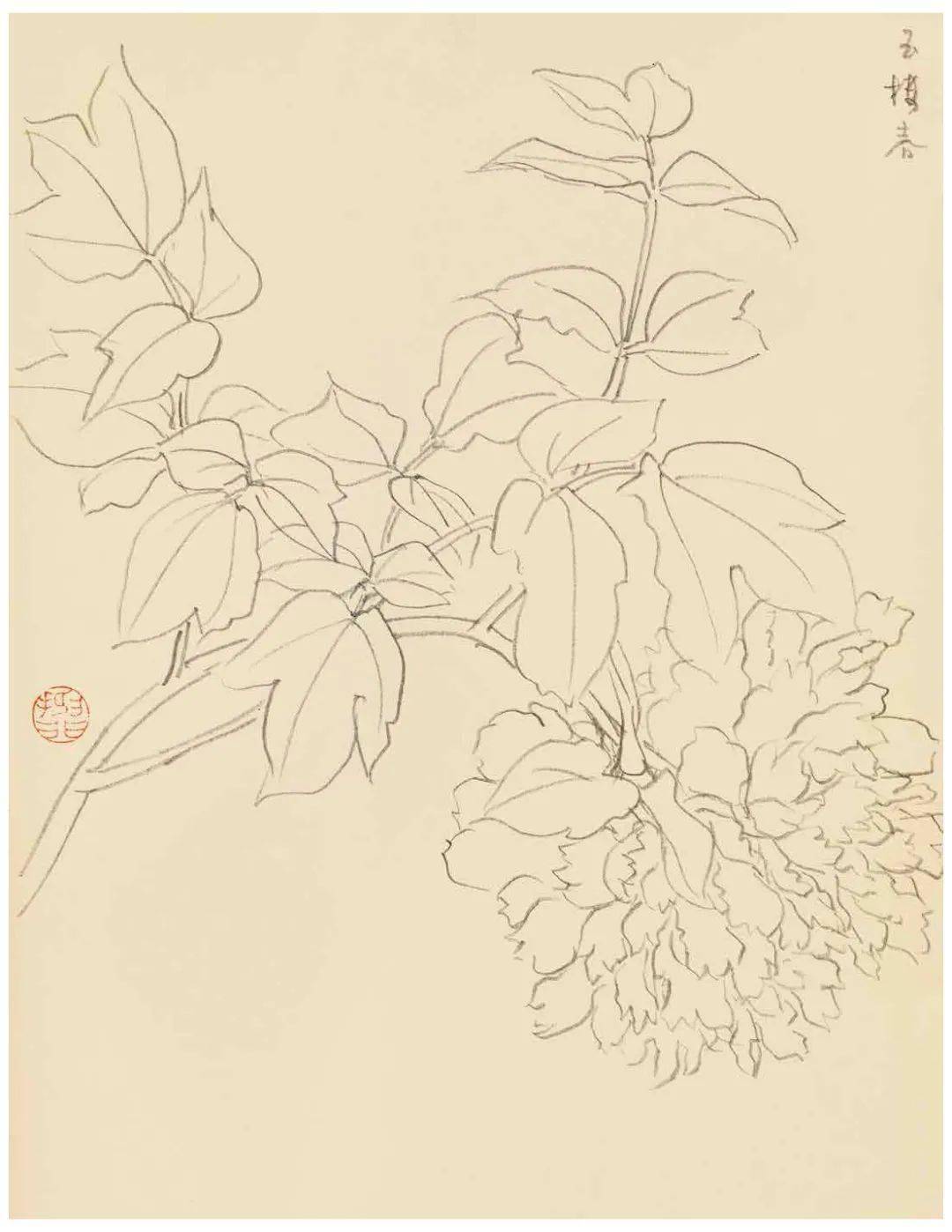 陆抑非先生教学示范作品之白描画稿_浙江省_古人_初稿