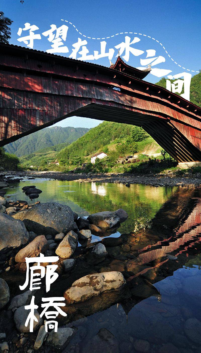 "与辉同行"直播间,万人学搭丽水廊桥_庆元_传承_中国