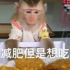 也成为了大家的聊天必备神器而其可爱的表情包吗喽自此风靡网络意思是