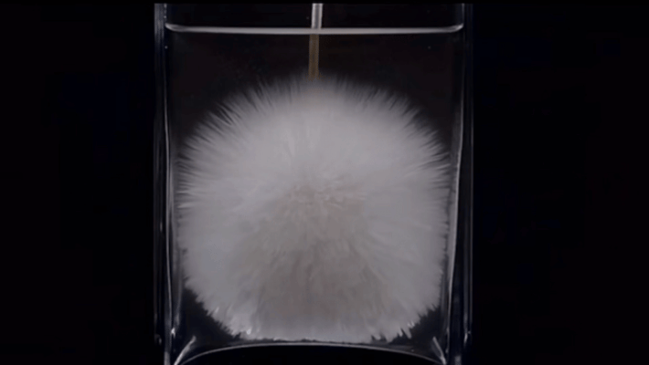 刹那永恒张梅春的化学即时雕塑_反应_物质_生命