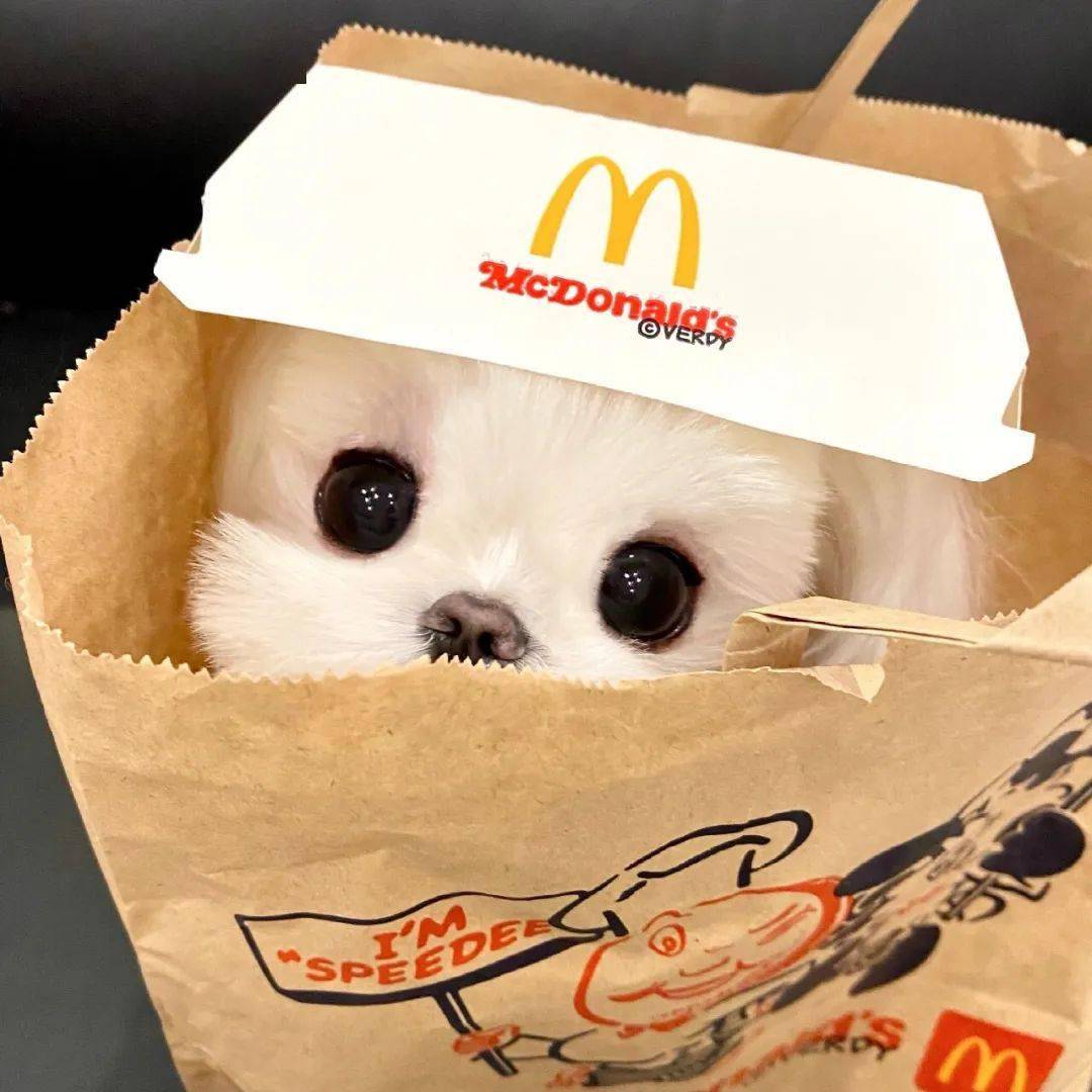 结果笑死,一个比一个好每次分手都觉得不会再遇到这么好的了cr:94想