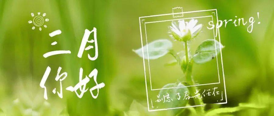 告别2月迎接3月的温柔美好文案_阳春_樱花_都会