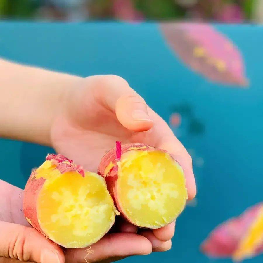 细腻绵糯,一抿就化,好吃又快手_地瓜_口感_澄迈