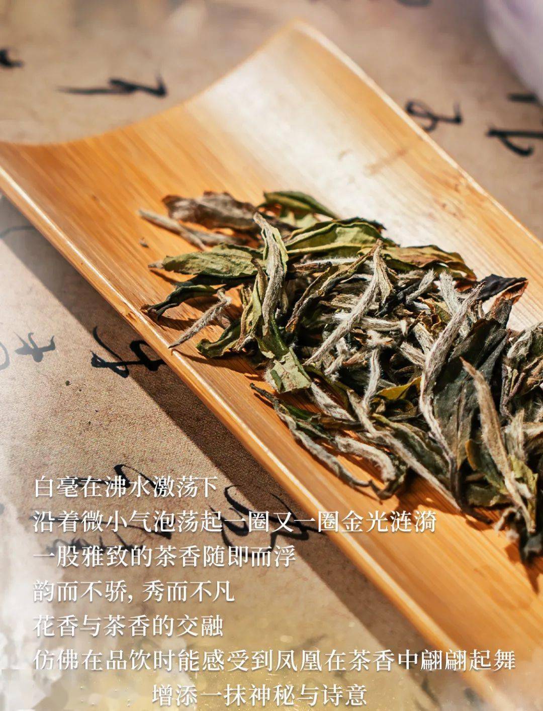 【会员新品】绿雪芽:瓷韵茶香共一体