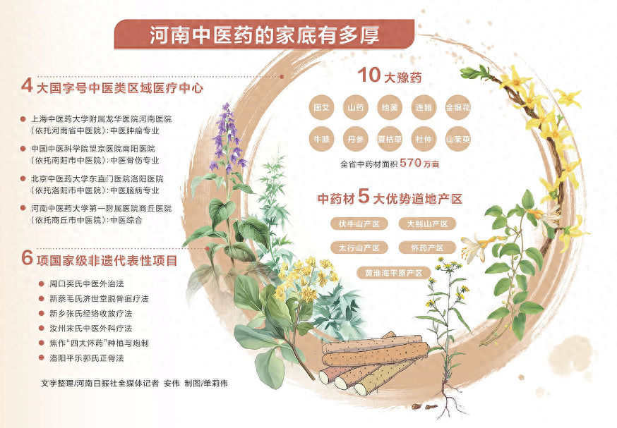 建设中医药强省正当时丨绘就中医药强省建设新图景
