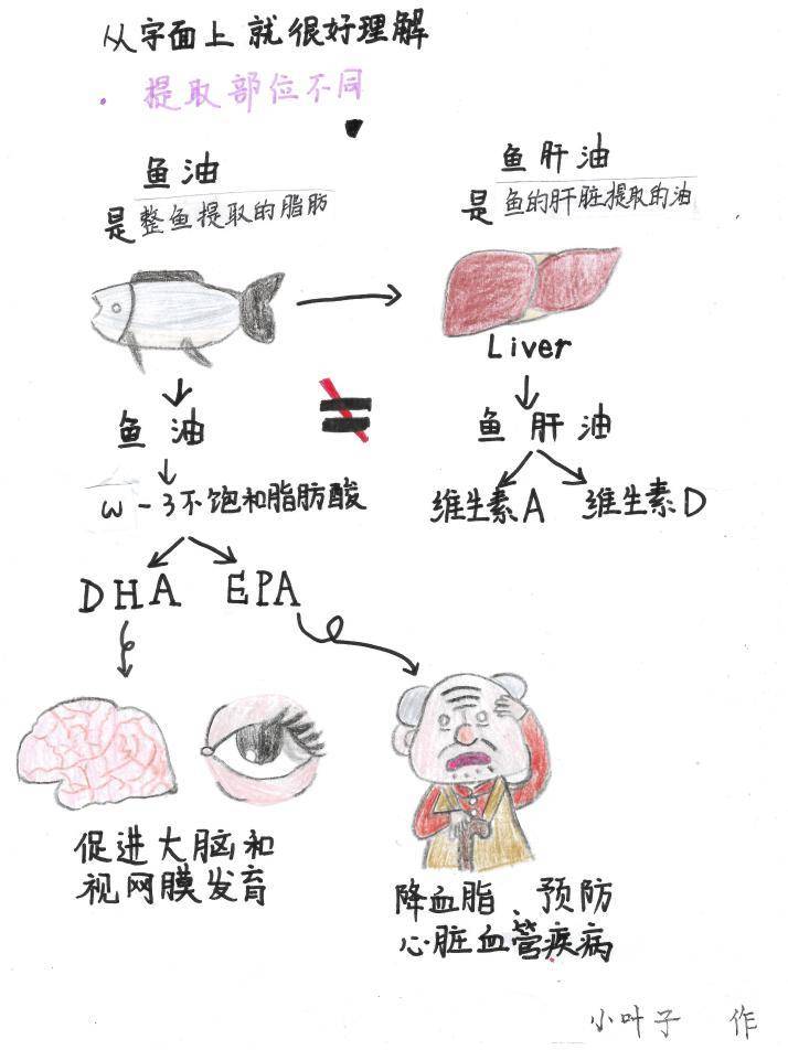 鱼肝油丸的功效与作用图片