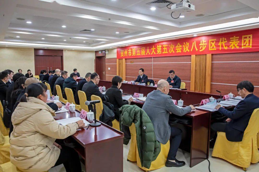 八步区代表团审议政府工作报告_发展_贺州_全市