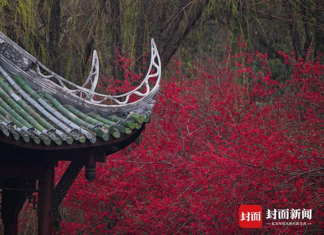 棠湖公园门票图片