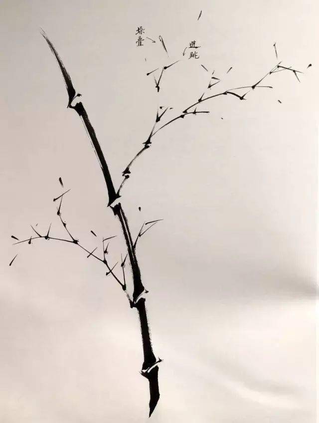 最齐全的墨竹口诀及画法,超好的素材!_变化_中锋_小枝