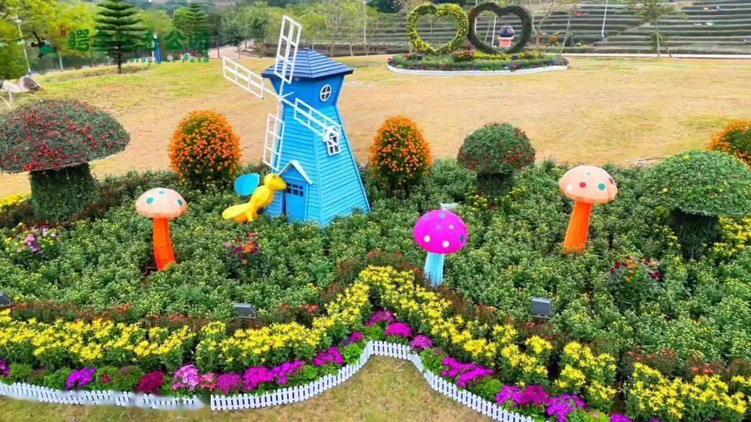 这个周末,来这里追花游园→_旅游_廉江_风景区