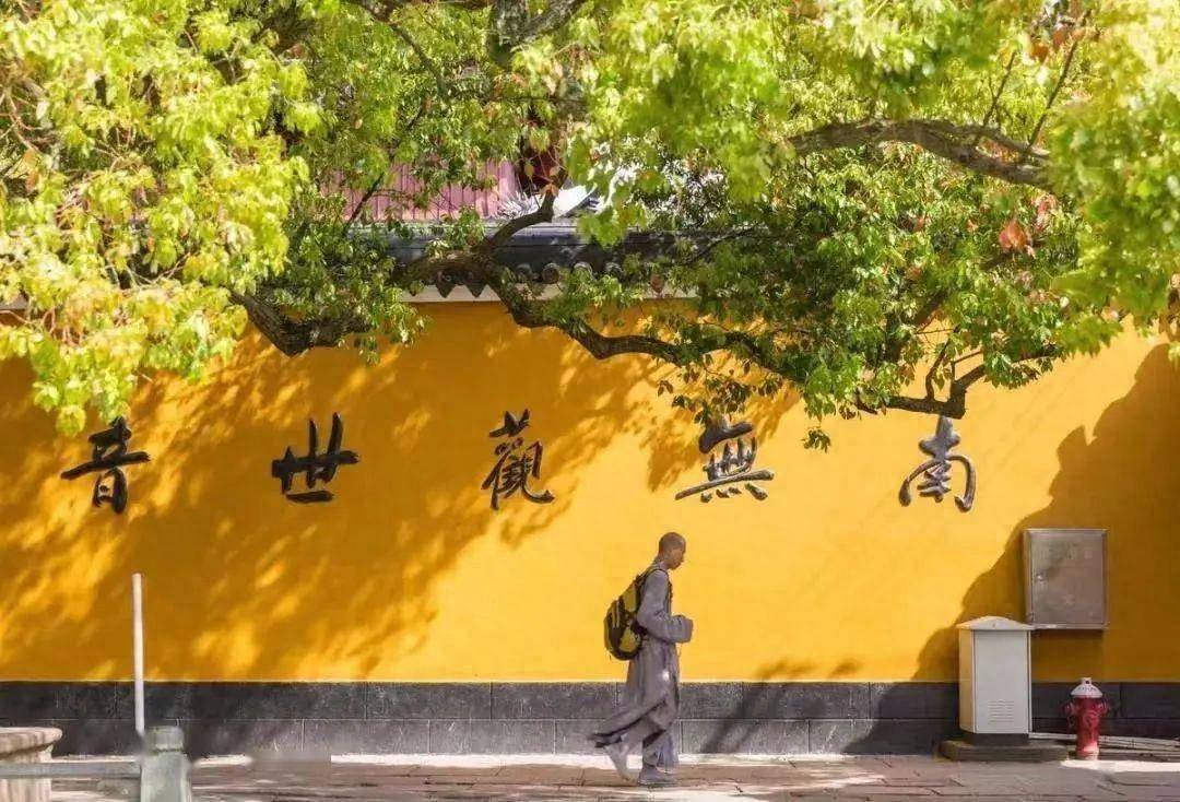 虚云老和尚曾说: "佛,法二宝,赖僧宝扶持,若无僧宝,佛法二宝无人流布