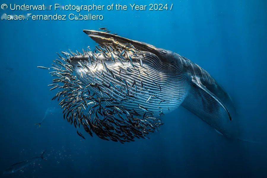 sur参数:nikon, z9, isotta z9, nikkor z 14-30mm f/4 s-line, iso