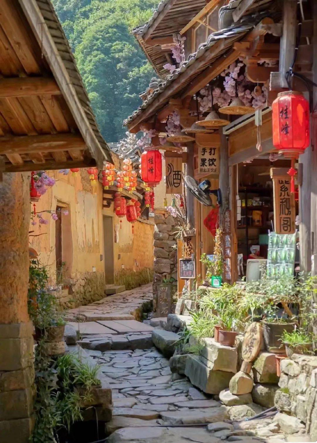 尤溪这里拟入选全国优秀案例._旅游_文化_桂峰村