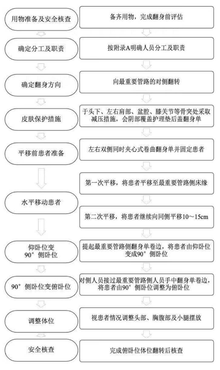 俯卧位通气示意图图片