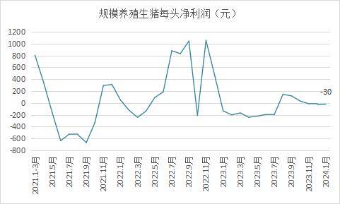 2021母猪存栏量走势图图片