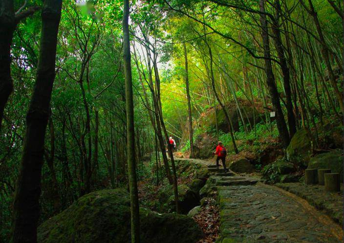 春色满园关不住,来漳州「上春山」_人间_景区_高峰