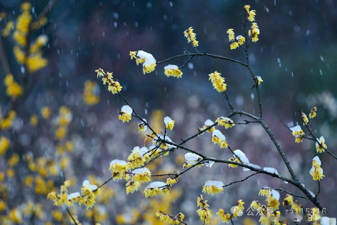 《中国爱情诗刊》(第2803期)"中国爱情小诗"同题诗