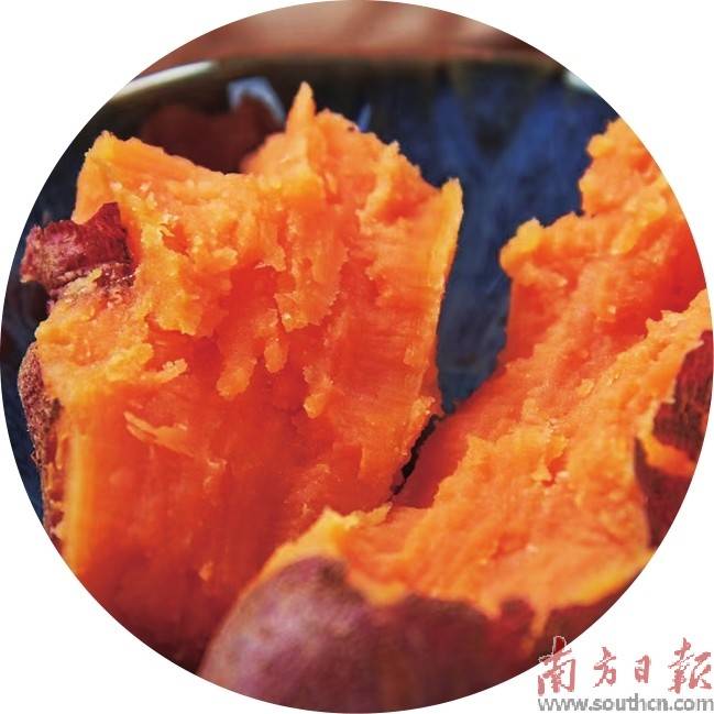 迳头镇红薯获评 全省十大薯业创新案例_李伟红_种植业_产业链