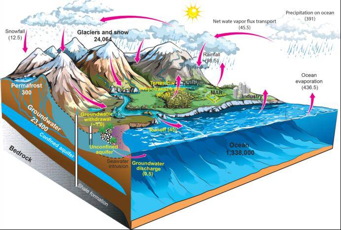 changing nature of groundwater in the global water cycle)