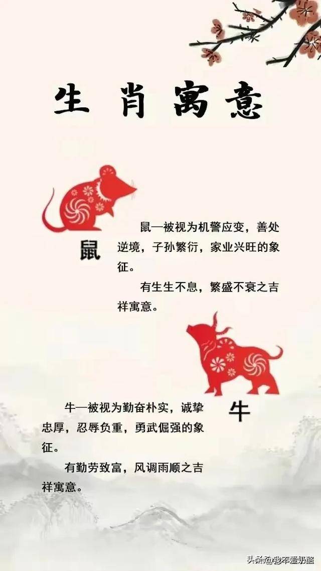 十二生肖代表什么性格?十二生肖的寓意,涨知识了